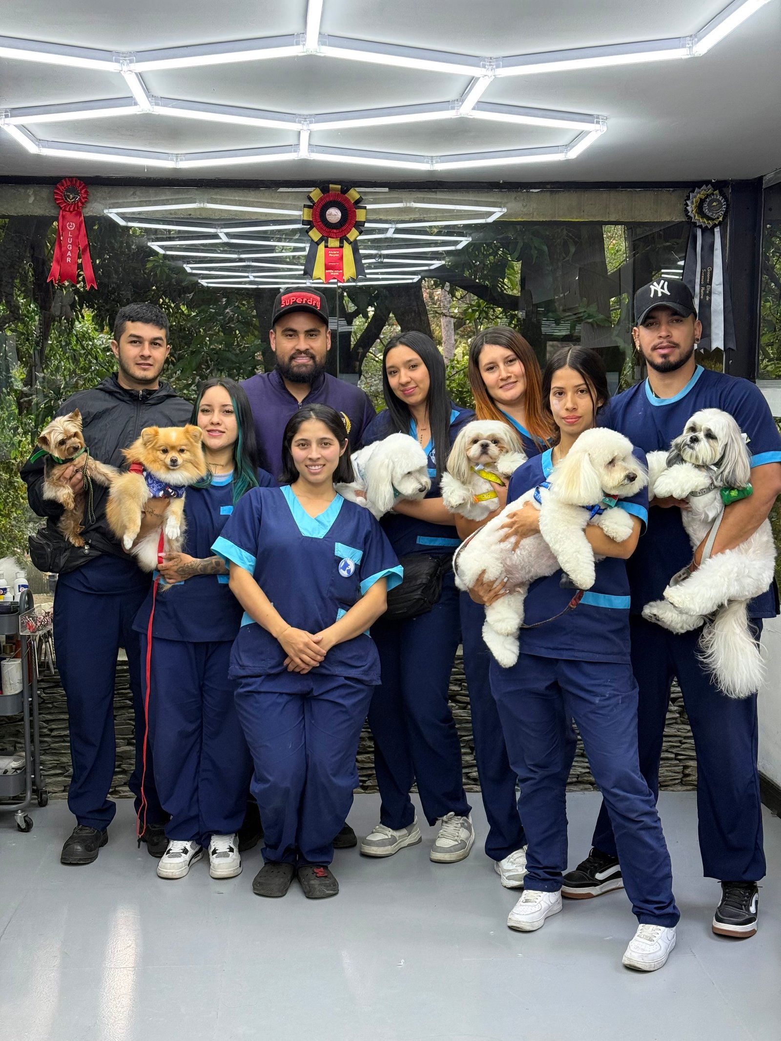 Groomer profesional en práctica - Pobladogs Academy
